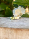 Faceted Peridot Gemstone Ring in Sterling Silver – Split Band Design - Kathy Sayce Jewellery